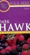 Dark Hawk Wild Berry Filtered Cigars